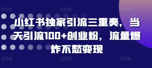 小红书独家引流三重奏，当天引流100+创业粉，流量爆炸不愁变现【揭秘】-资源宝库
