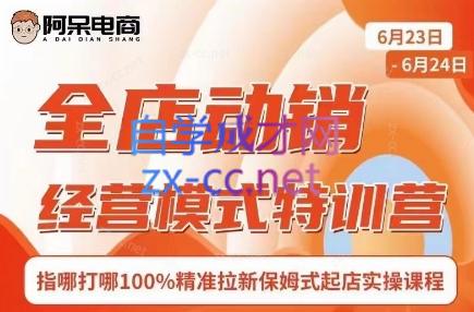 阿呆电商·全店动销经营模式特训营(线下录音+思维导图)-资源宝库