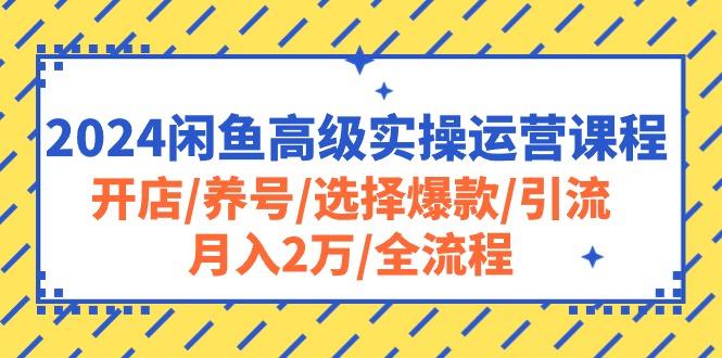 2024闲鱼高级实操运营课程：开店/养号/选择爆款/引流/月入2万/全流程-资源宝库