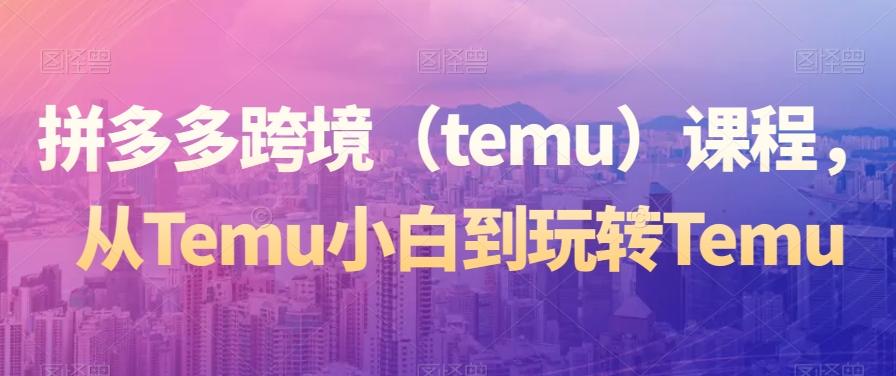 拼多多跨境（temu）课程，从Temu小白到玩转Temu-资源宝库