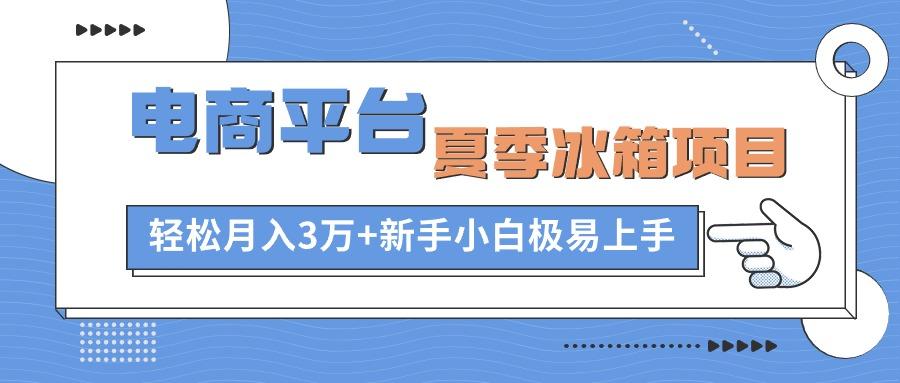 电商平台夏季冰箱项目，轻松月入3万+，新手小白极易上手-资源宝库