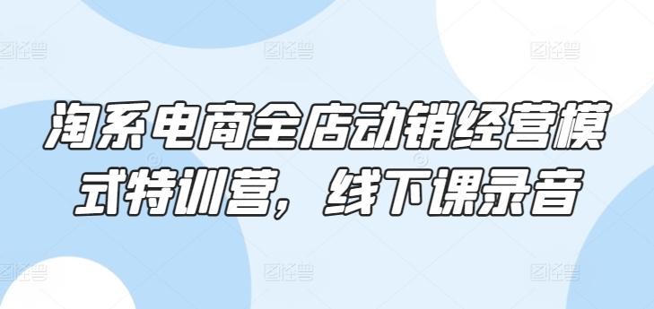 淘系电商全店动销经营模式特训营，线下课录音-资源宝库
