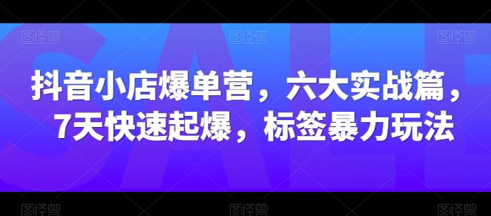 抖音小店爆单营，六大实战篇，7天快速起爆，标签暴力玩法-资源宝库
