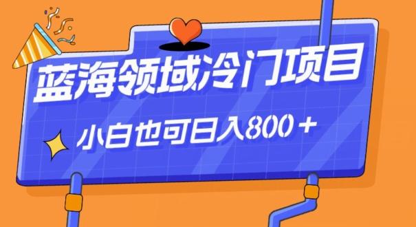 蓝海领域冷门赛道，一单39.9，日入800＋-资源宝库