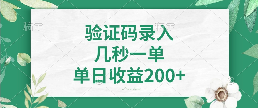 验证码录入，几秒一单，单日收益200+-资源宝库