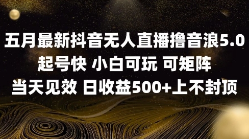 2025五月最新无人直播撸音浪单日产出5张+实操教程【揭秘】-资源宝库