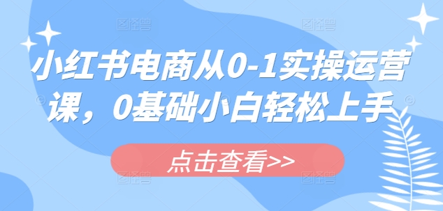 小红书电商从0-1实操运营课,0基础小白轻松上手-资源宝库