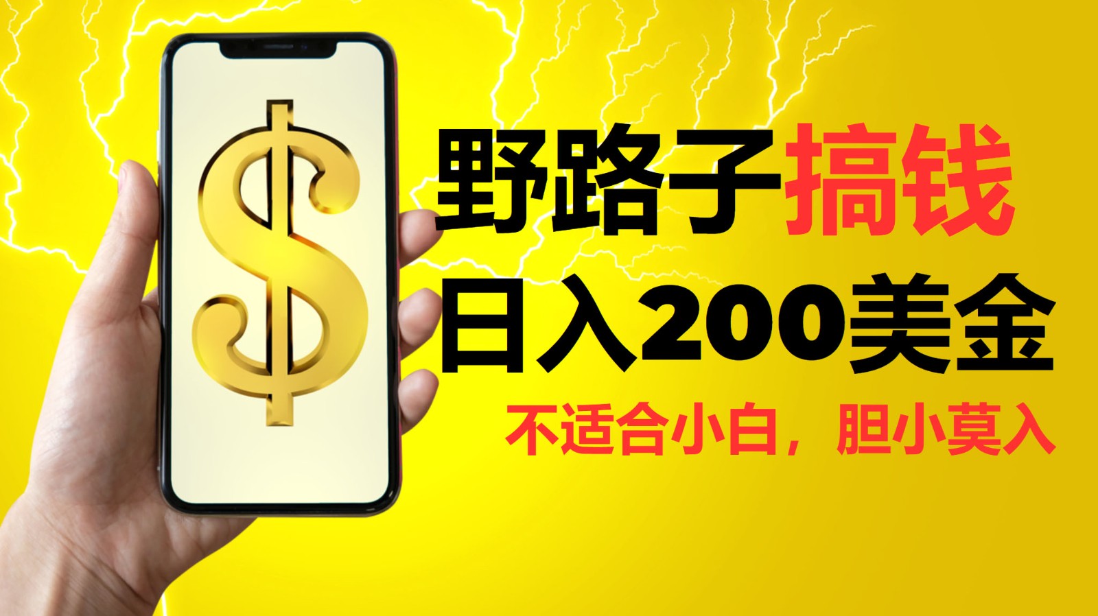 挂机野路子搞钱，日入200美金，路子很野，小白莫入-资源宝库