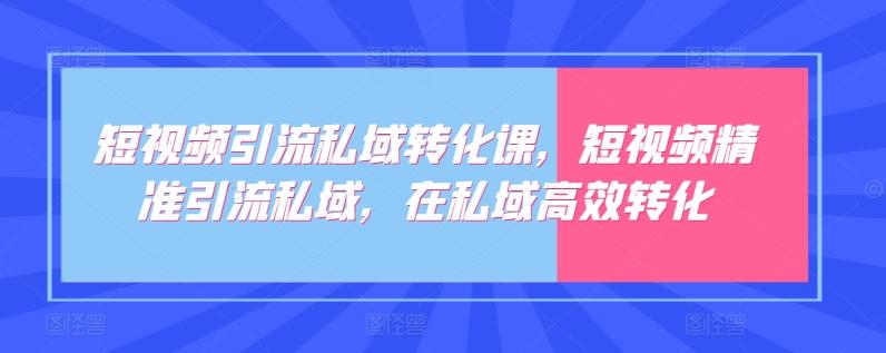 短视频引流私域转化课，短视频精准引流私域，在私域高效转化-资源宝库