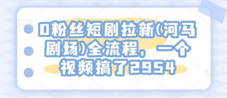 0粉丝短剧拉新(河马剧场)全流程,一个视频搞了2954-资源宝库