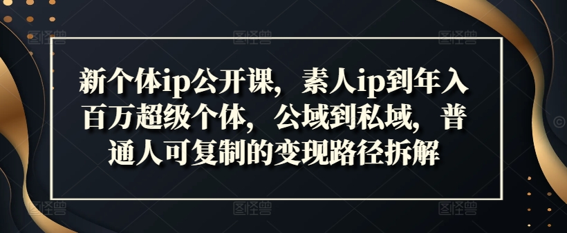 新个体ip公开课，素人ip到年入百万超级个体，公域到私域，普通人可复制的变现路径拆解-资源宝库