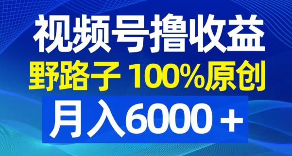 视频号野路子撸收益，100%原创，条条爆款，月入6000＋【揭秘】-资源宝库