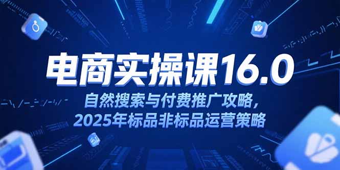 淘宝电商运营课16.0，自然搜索与付费推广攻略，2025年标品非标品运营策略-资源宝库