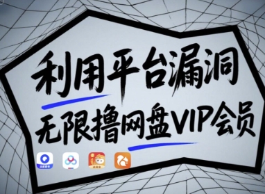 利用平台漏洞,无限撸网盘VIP会员,用户亲测有效!【漏洞原理+操作演示】-资源宝库