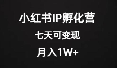价值2000+的小红书IP孵化营项目，超级大蓝海，七天即可开始变现，稳定月入1W+-资源宝库