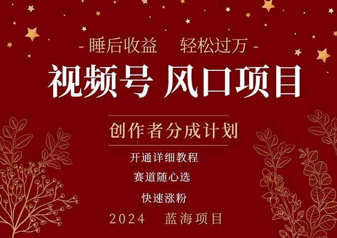 拥有睡眠收益的微信视频号大风口项目，轻松月入过万+，多赛道选择，可…-资源宝库