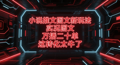 小说推文图文新玩法，实况图文，万播二十单，这转化太牛了！-资源宝库