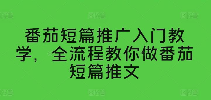 番茄短篇推广入门教学，全流程教你做番茄短篇推文-资源宝库