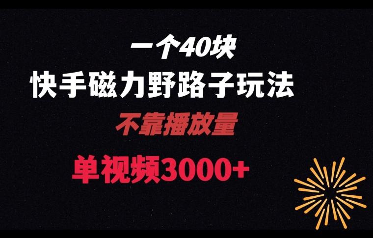 一个40块，快手联合美团磁力新玩法，无视机制野路子玩法，单视频收益4位数【揭秘】-资源宝库