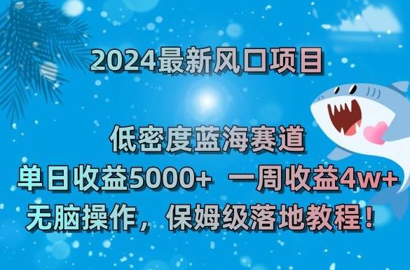 2024最新风口项目，低密度蓝海赛道，单日收益5000+，一周收益4w+！【揭秘】-资源宝库