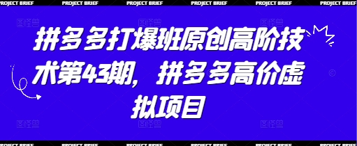 拼多多打爆班原创高阶技术第43期，拼多多高价虚拟项目-资源宝库