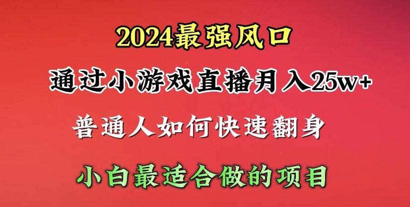 (10020期)2024年最强风口，通过小游戏直播月入25w+单日收益5000+小白最适合做的项目-资源宝库