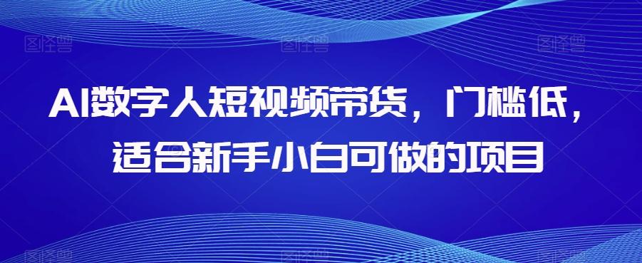 AI数字人短视频带货，门槛低，适合新手小白可做的项目-资源宝库