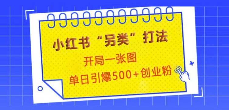 小红书“另类”打法,开局一张图,单日引爆500+精准创业粉【揭秘】-资源宝库