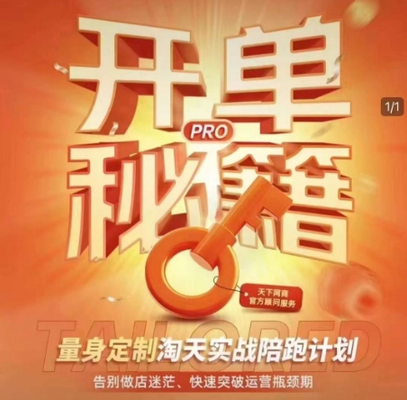 淘宝开单秘籍PRO,量身定制淘天实战陪跑计划,告别做店迷茫、快速突破运营瓶颈期(更新)-资源宝库