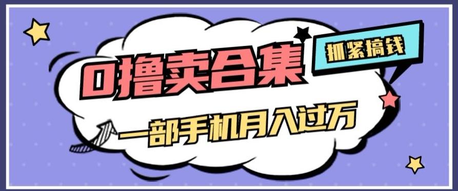 0撸项目月入过万，售卖全套ai工具合集，一单29.9元，一部手机即可【揭秘】-资源宝库