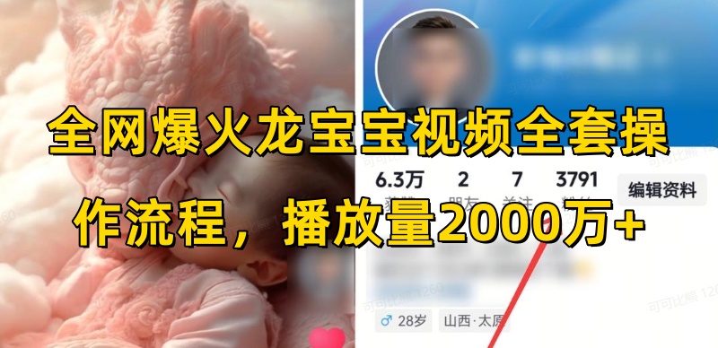 全网爆火龙宝宝视频全套操作流程,播放量2000万+-资源宝库