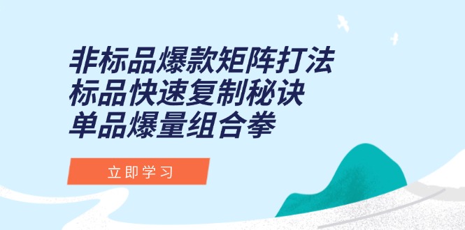 非标品爆款矩阵打法，标品快速复制秘诀，单品爆量组合拳-资源宝库