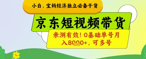 小白宝妈经济独立必备干货,京东短视频带货,亲测有效!0基础单号月入8k+,可多号【揭秘】-资源宝库