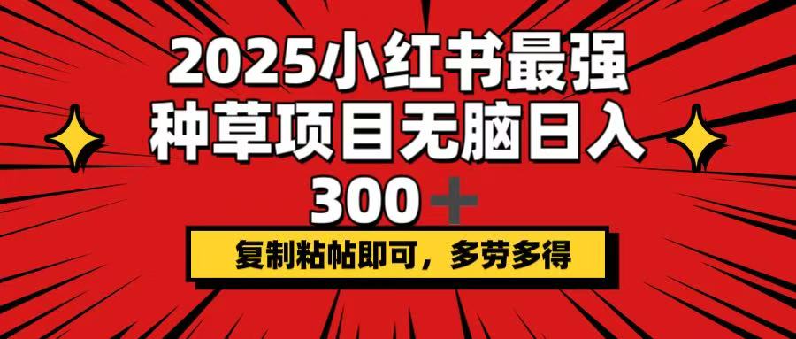 2025小红书最强种草项目，无脑日入300+，复制粘帖即可，多劳多得-资源宝库