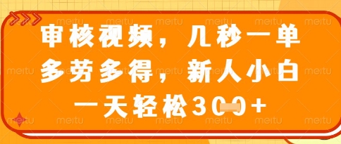 视频审核员，几秒一单，不限时间，不限地点，多做多得，新人小白一天轻松几张+【揭秘】-资源宝库