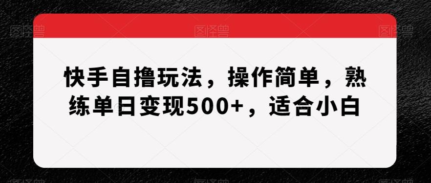 快手自撸玩法，操作简单，熟练单日变现500+，适合小白【揭秘】-资源宝库
