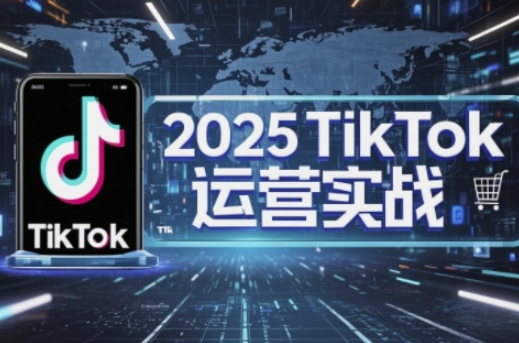 2025TikTok电商运营,掌握TikTok店铺运营核心技巧,实现低成本高转化-资源宝库