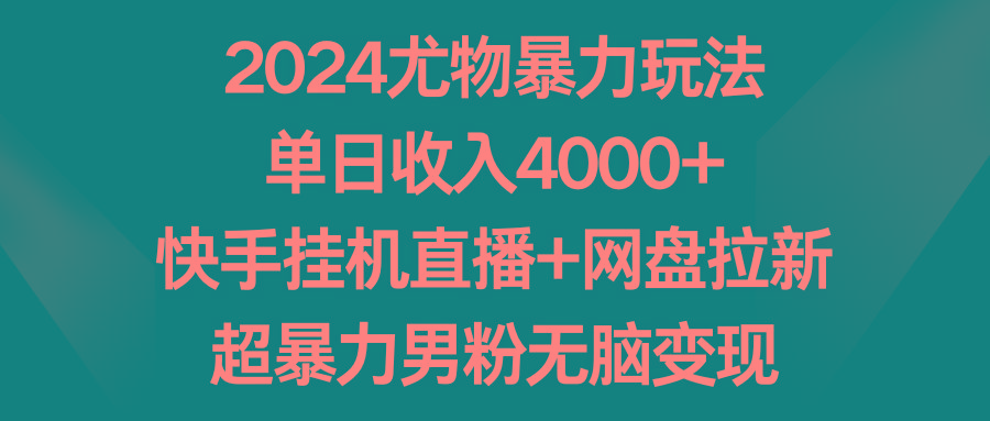 2024尤物暴力玩法 单日收入4000+快手挂机直播+网盘拉新 超暴力男粉无脑变现-资源宝库
