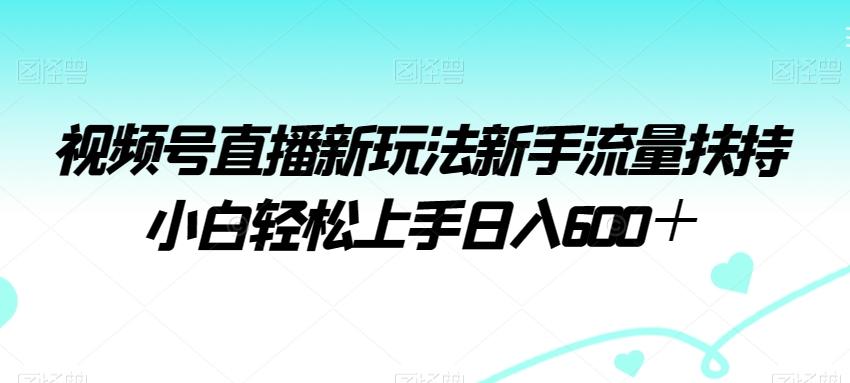 视频号直播新玩法新手流量扶持小白轻松上手日入600＋【揭秘】-资源宝库