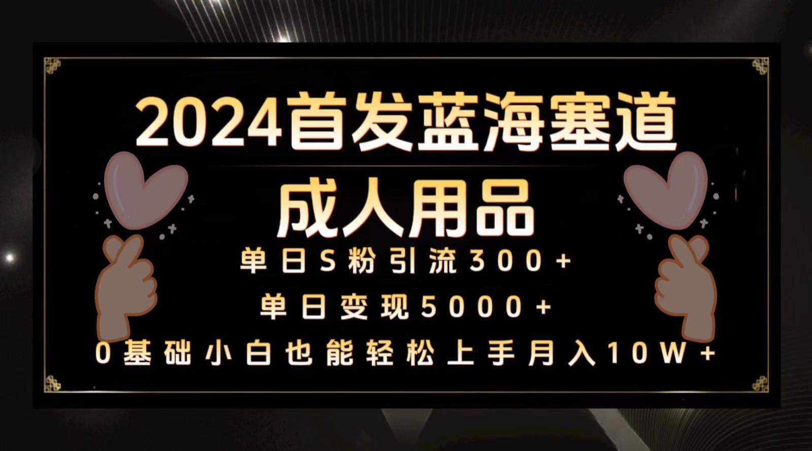 2024首发蓝海塞道成人用品，月入10W+保姆教程-资源宝库