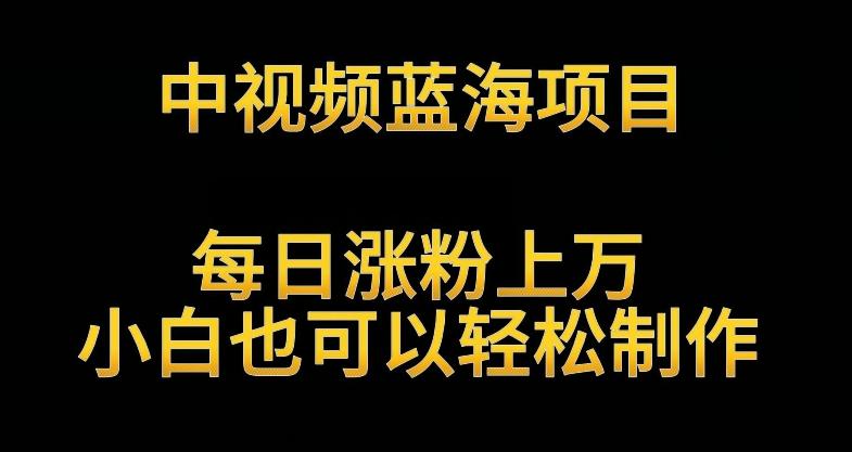中视频蓝海项目，解读英雄人物生平，每日涨粉上万，小白也可以轻松制作，月入过万不是梦【揭秘】-资源宝库