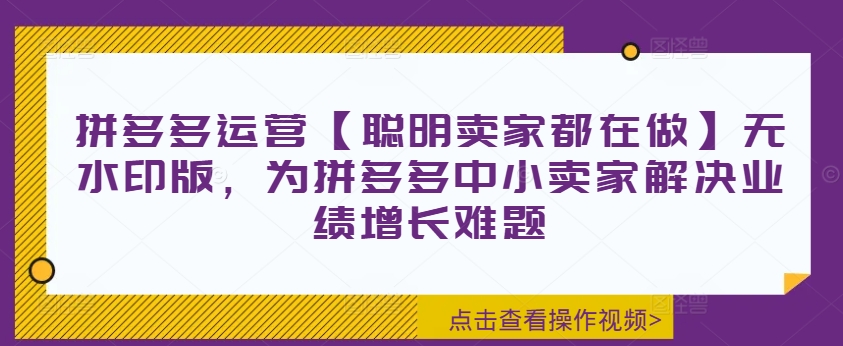 拼多多运营【聪明卖家都在做】无水印版，为拼多多中小卖家解决业绩增长难题-资源宝库