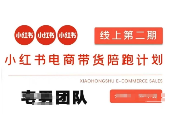 小红书电商带货课2期，月利润20个的小红书电商的有货源，无货源，虚拟产品，付费投流等整套玩法-资源宝库