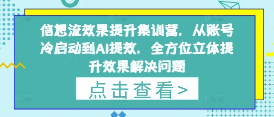 信息流效果提升集训营,从账号冷启动到AI提效,全方位立体提升效果解决问题-资源宝库
