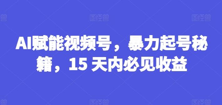 AI赋能视频号，暴力起号秘籍，15 天内必见收益【揭秘】-资源宝库