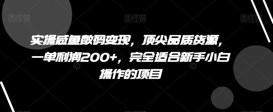 实操咸鱼数码变现，顶尖品质货源，一单利润200+，完全适合新手小白操作的项目【揭秘】-资源宝库