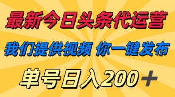 最新今日头条代运营,我们提供视频,你一键发布,单号日入200+【揭秘】-资源宝库
