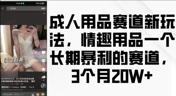成人用品赛道新玩法，情趣用品一个长期暴利的赛道，3个月收益20个【揭秘】-资源宝库