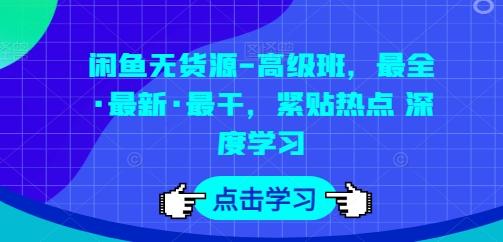 闲鱼无货源-高级班，最全·最新·最干，紧贴热点 深度学习-资源宝库