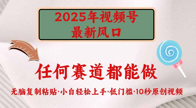 2025年视频号新风口，低门槛只需要无脑执行-资源宝库